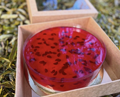 Tortas "Arbūzas" Tortas "Arbūzas"